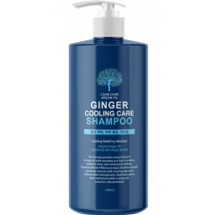 [Char Char] Шампунь для волос УКРЕПЛЕНИЕ / ОХЛАЖДЕНИЕ Argan Oil Ginger Cooling Care Shampoo, 1000 мл